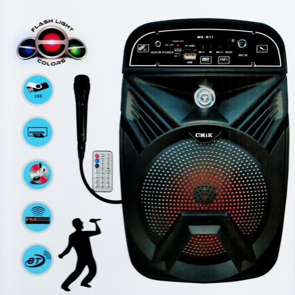 cassa bluetooth con microfono e karaoke vantaggi